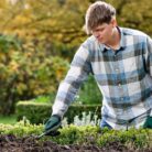 S71007337_3