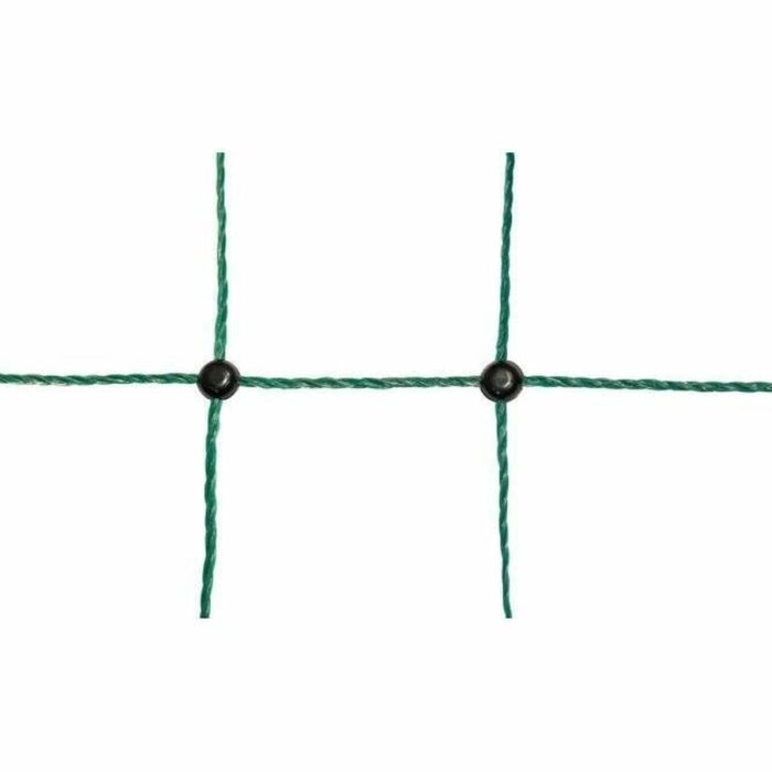 S71006981_1